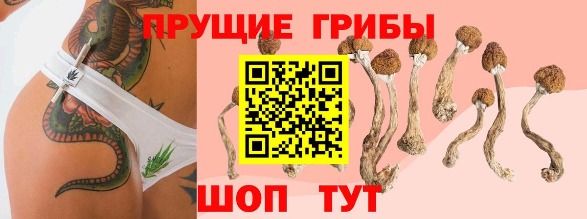 Луховицы  Галлюциногенные грибы прущие грибы  Псилоцибиновые грибы мухоморы  Вход с VPN 