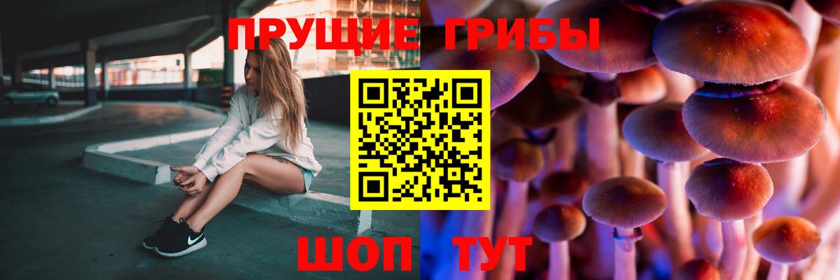 Галлюциногенные грибы MAGIC MUSHROOMS Луховицы